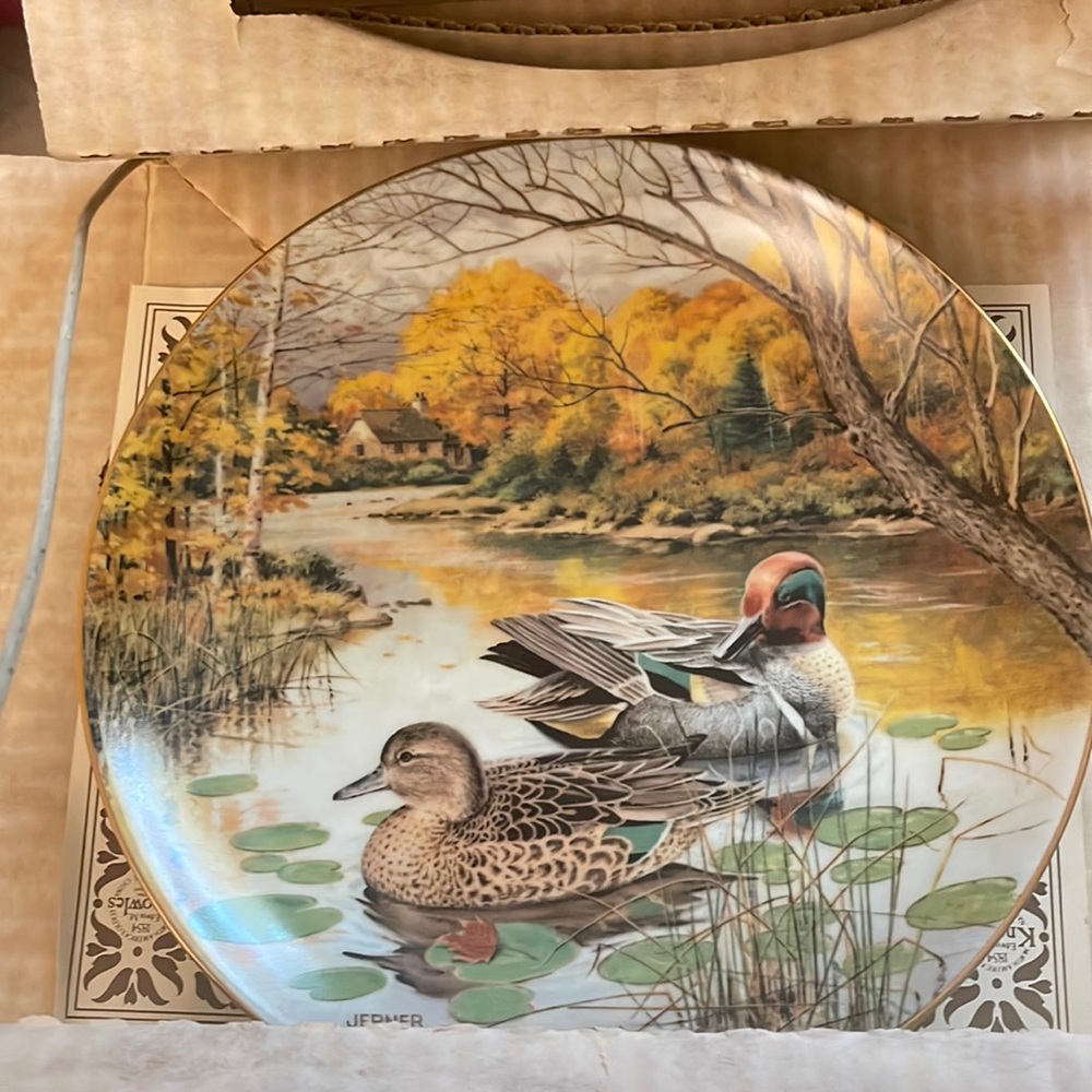 Green winged plate collection